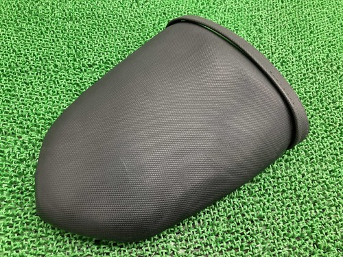 Ninja250r tandem seat - tandem,