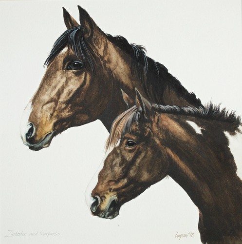 Terry logan framed - terry, (b.1939)