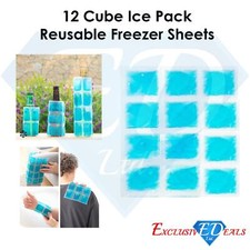 12 Cube Reusable Frozen Pack