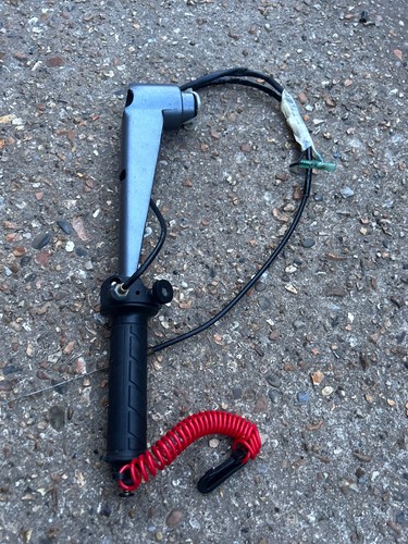Genuine selva marine guppy - genuine,
