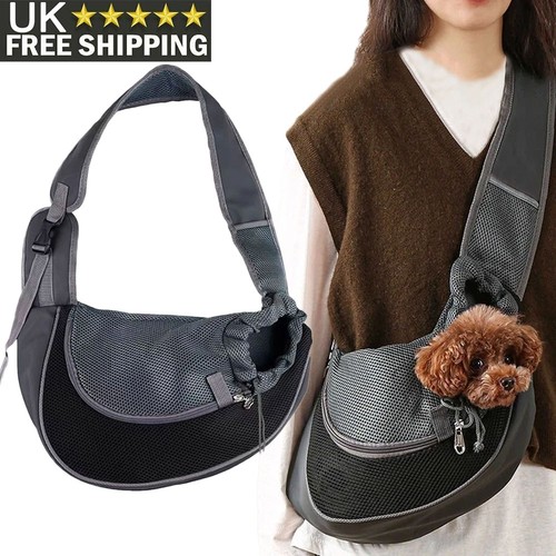 Pet puppy kitten - pet,