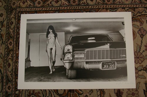 Helmut newton hollywood - newton,