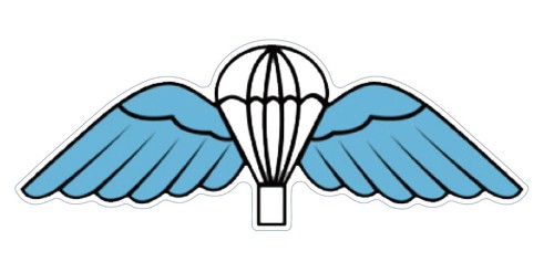 Parachute wings airborne - airborne, para