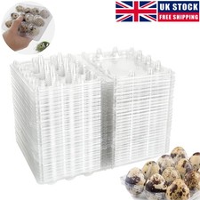 100PCS Heavy-Duty Quail Egg