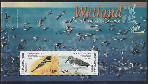 Hong kong 2000 sc - ,