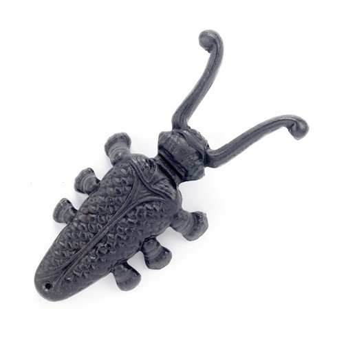 Land metal beetle - hy,