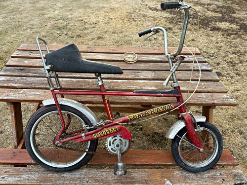 Raleigh tomahawk kids bike - raleigh,