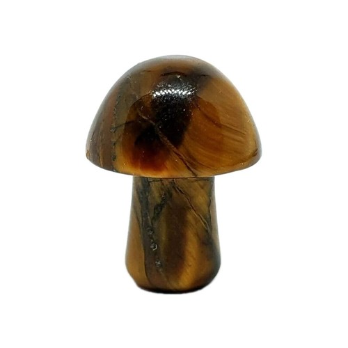 Mushroom tigers eye - eye, gemstone