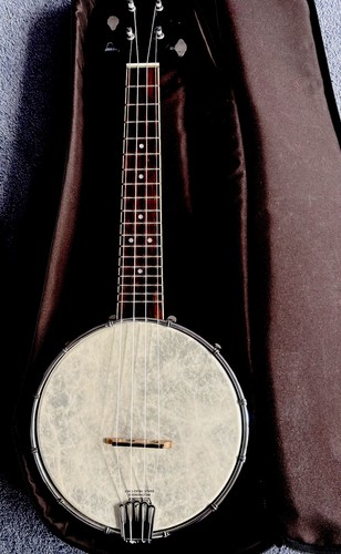 Gold tone bu1 electro acoustic - gold,