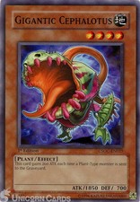 CSOC-EN025 Gigantic Cephalotus Common 1st Edition Mint Yu-Gi-Oh! Card