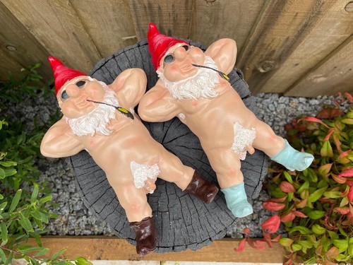 Naughty garden gnome statue - garden,
