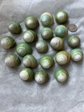 Green Land Snails From