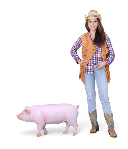 Walking pig statue - -, life