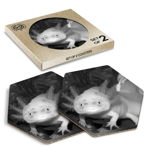 Hexagon coasters bw - x,