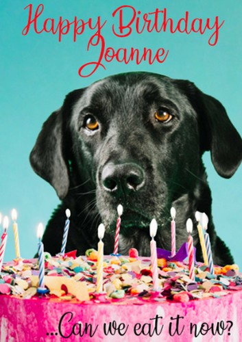 Personalised labrador card - labrador,