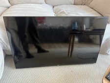 Bush Fire 43 inch Smart 4K UHD