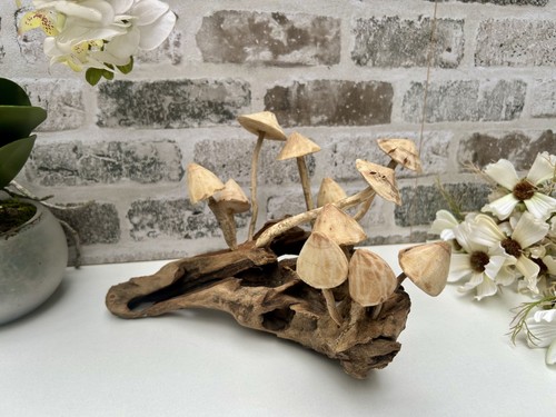 20cm multi mushroom wooden - mushroom,