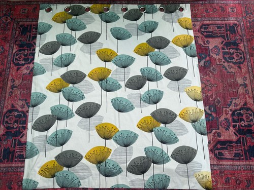 Sanderson dandelion clocks - dandelion,