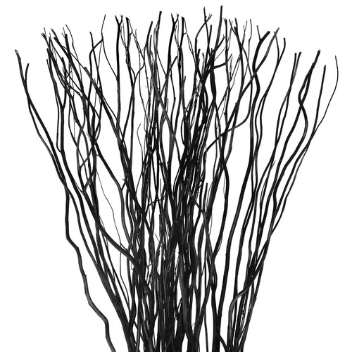 Xinnun pcs curly willow - 50,