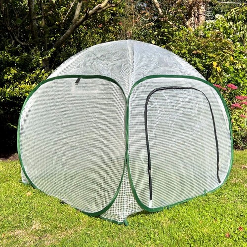 75m h poly tunnel - 1m, x
