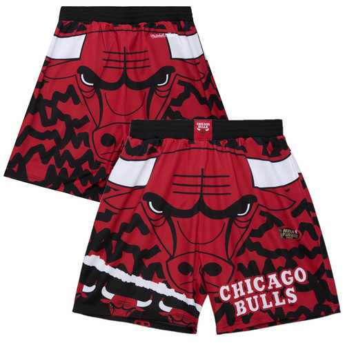 Chicago bulls nba shorts size - chicago, (size