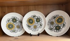 Vintage Biltons Staffordshire