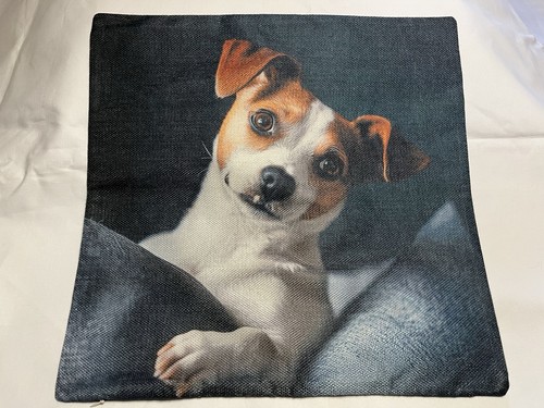 Adorable dog jack russell - adorable,