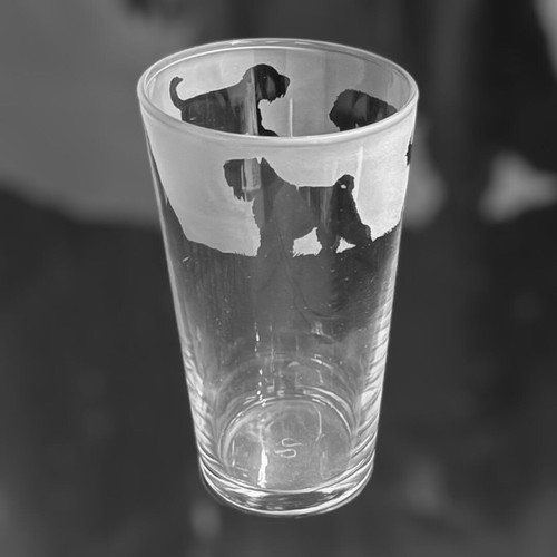 Black russian terrier - terrier, frieze