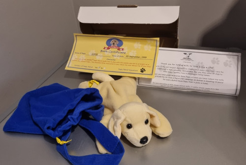 1999 andrex labrasor - labrasor, dog