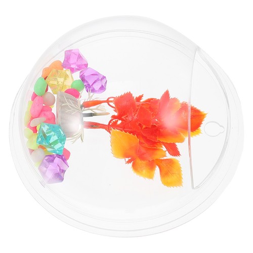 Clear aquarium planter - aquarium,