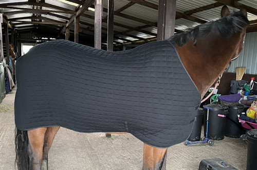 Thermatex multi purpose rug - thermatex, multi-purpose