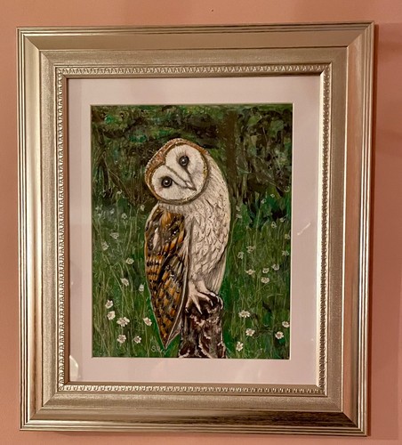 Barn owl stood - barn,