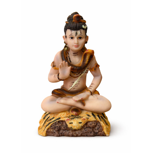 Lord shiva meditation statue - meditation,