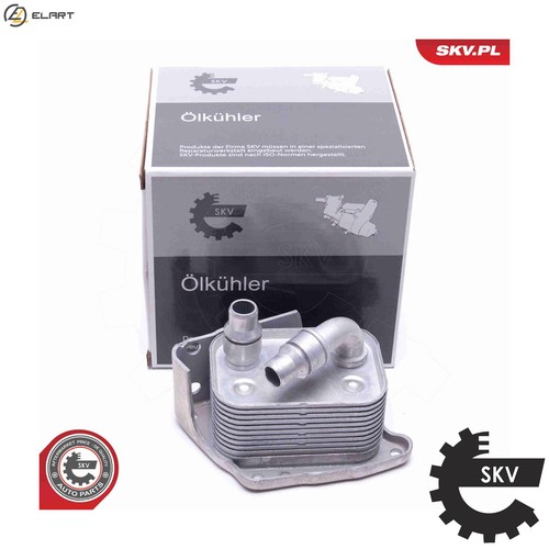 Oil cooler engine - oil,