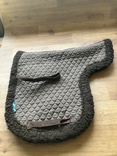 Griffin NUUMED  Working Hunter