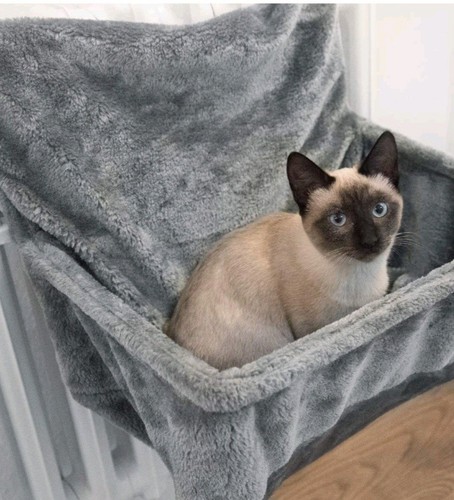 Navaris cat bed radiator - bed,