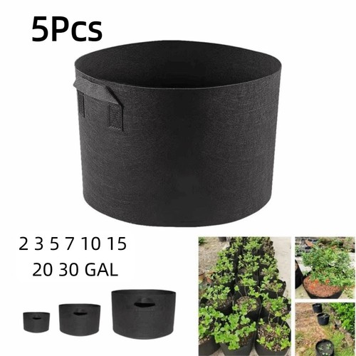 5pcs large plant - 5pcs,