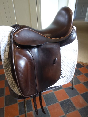 Frank baines omni dressage - frank,