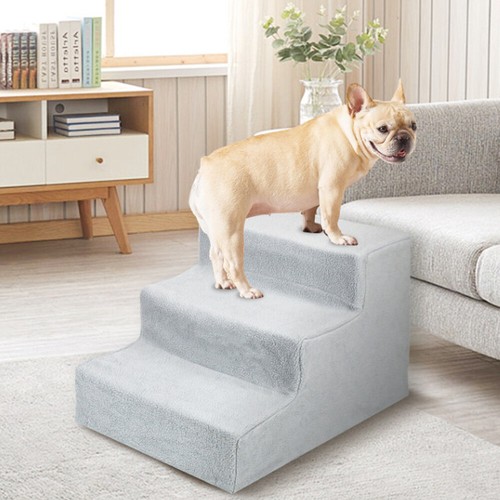 Steps pet cat - pet,