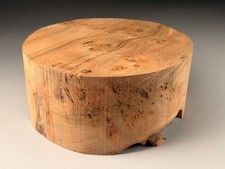 Very Large Burr Elm Wood Turning  Bowl Blanks 10.5 x 5 inch 4.2 KG