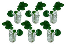 6x Wedding Table Glass