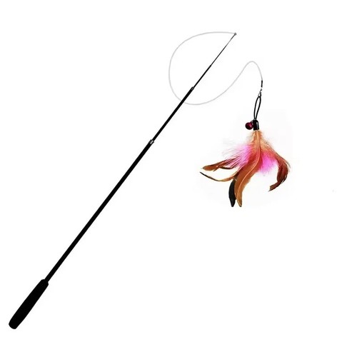 Cat kitten feather - kitten, wand
