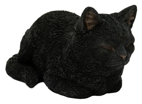 Vivid arts cat dreaming - vivid,