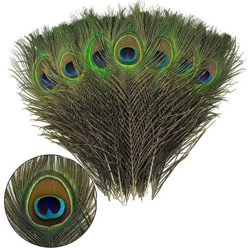Jeopko 15pcs peacock feathers - peacock,
