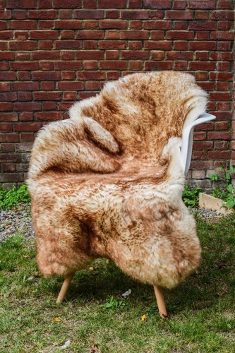 Sheepskin rug wolf tipped - sheepskin,