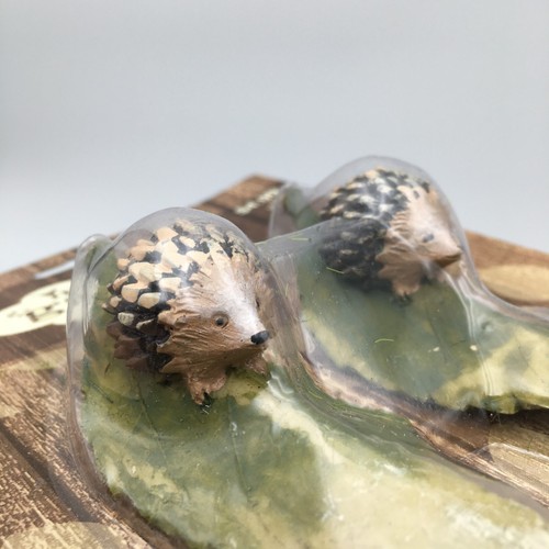 Hedgehog garden friends - hedgehog,