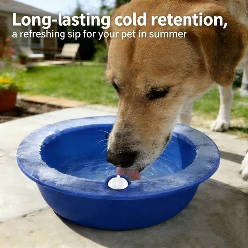 Water injection pet ice - injection, bowl
