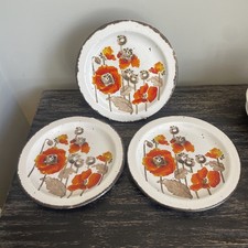 Midwinter Autumn (poppies)