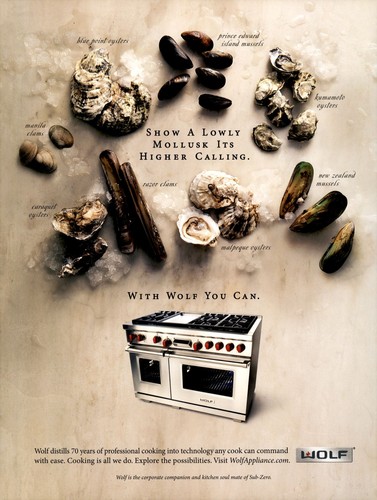 2004 wolf range - wolf,