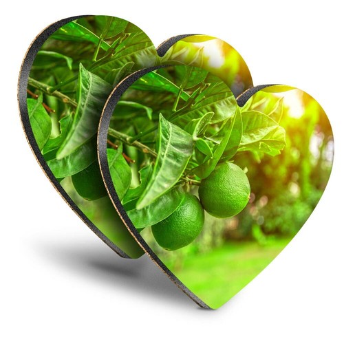 Heart mdf coasters citrus - 2x,